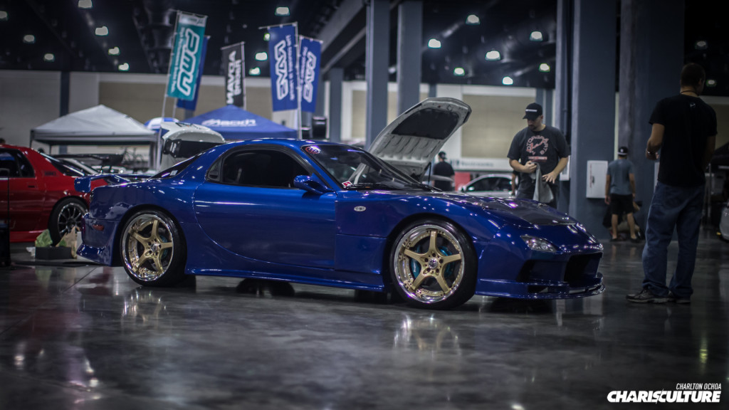 post-31-wekfest-palm-beach-minus-6553